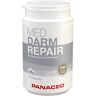 Panaceo MED Darm-Repair Kapseln 200 St 200 St Kapseln