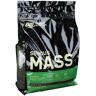 Optimum Nutrition Serious Mass, Schokolade, Pulver 5450 g 5450 g Pulver