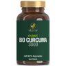Vitactiv Curcuma 3000 - Bio Kapseln 60 St 60 St Kapseln