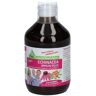 LiquidWellness® Echinacea Immun Plus Liquidum 320 ml 320 ml Liquidum