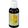 Dynamis Grapefruit Kern Extrakt Pur 30 ml 30 ml Extrakt