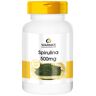 Warnke Spirulina 500 mg Tabletten St 500 St Tabletten