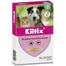 Kiltix® Halsband für Katzen und kleine Hunde 1 St 1 St Halsband