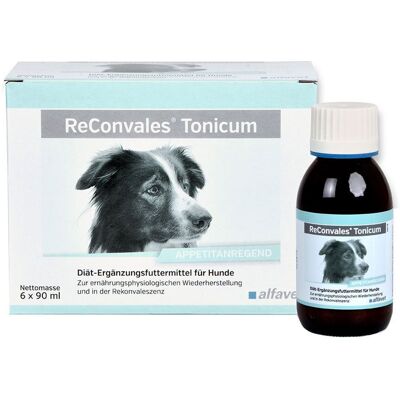 Reconvales Tonicum für Hunde - Flüssiges Ergänzungsfuttermittel Reconvales Tonicum für Hunde - Flüssiges Ergänzungsfuttermittel