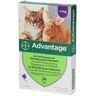 advantage® für große Katzen über 4 kg Einzeldosispipetten St 4 St Einzeldosispipetten