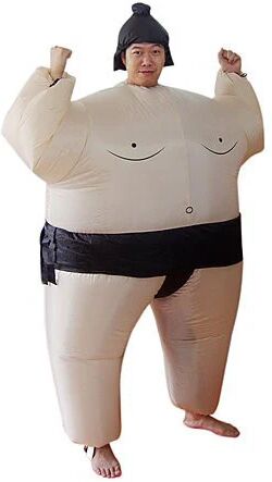 Unbranded Sumo Inflatable Costume