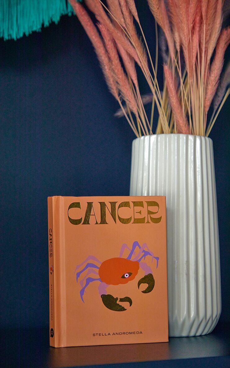PrettyLittleThing Cancer Star Sign Astrology Book  - Cancer - Size: One Size