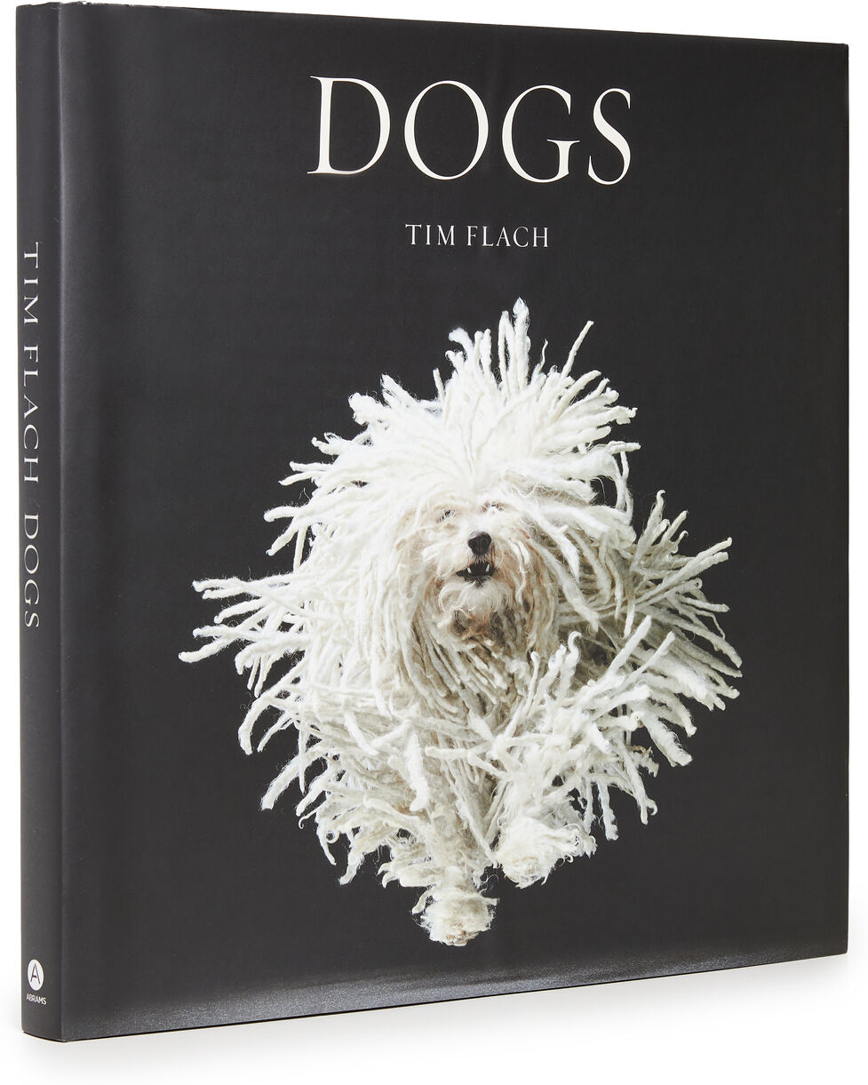 Books with Style Dogs Book Black/White One Size    size: