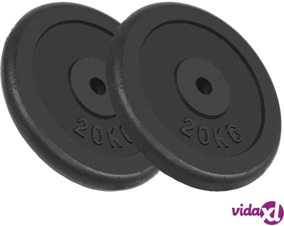 vidaXL Weight Plates 2 pcs 2x20 kg Cast Iron