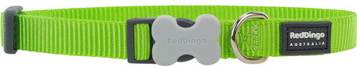 Red Dingo Classic Dog Collar (Lime Green) - 12mm