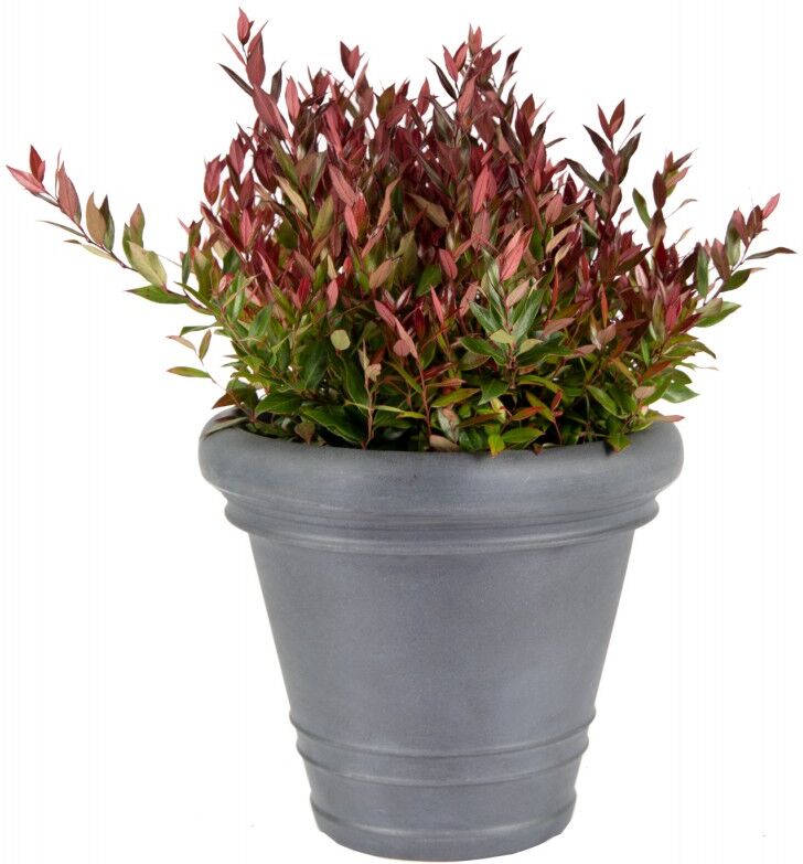 Mega Collections Bac à plantes rotomoulé Rinca Doppio gris clair D.61xH.46cm - MegaCollections