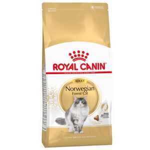 Royal Canin Breed Royal Canin Norvégien Adult pour chat - 2 kg