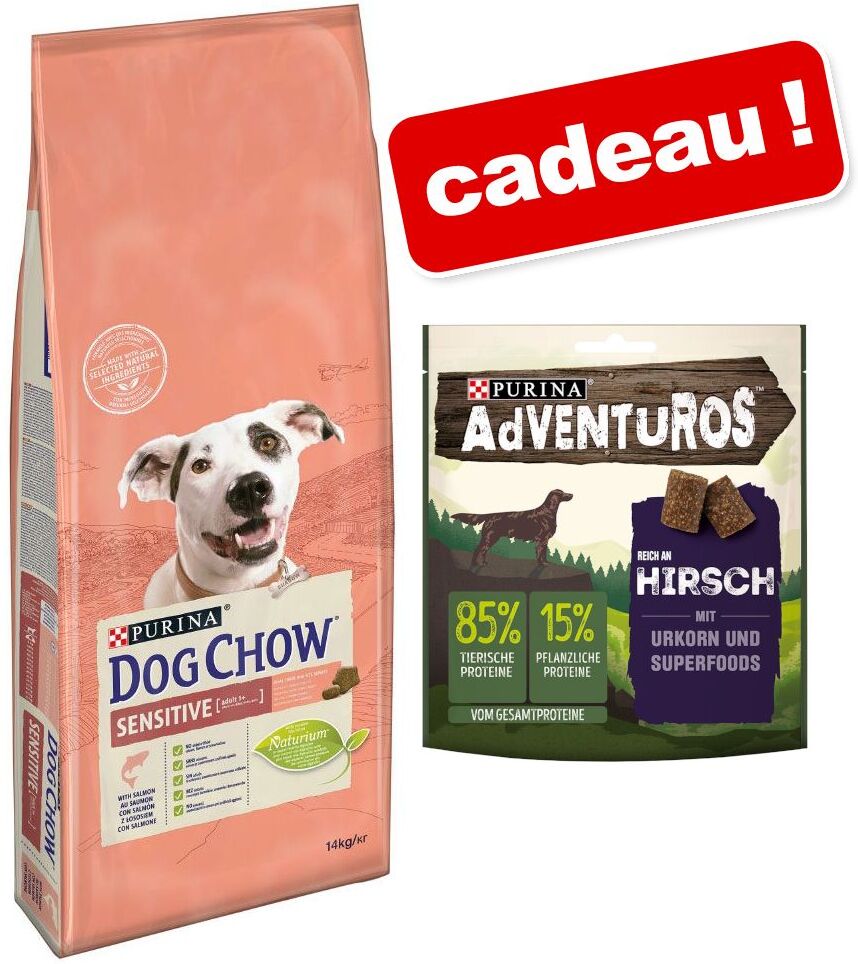 Dog Chow Croquettes PURINA Dog Chow 14 kg + friandises ADVENTUROS 6 x 90 g en...