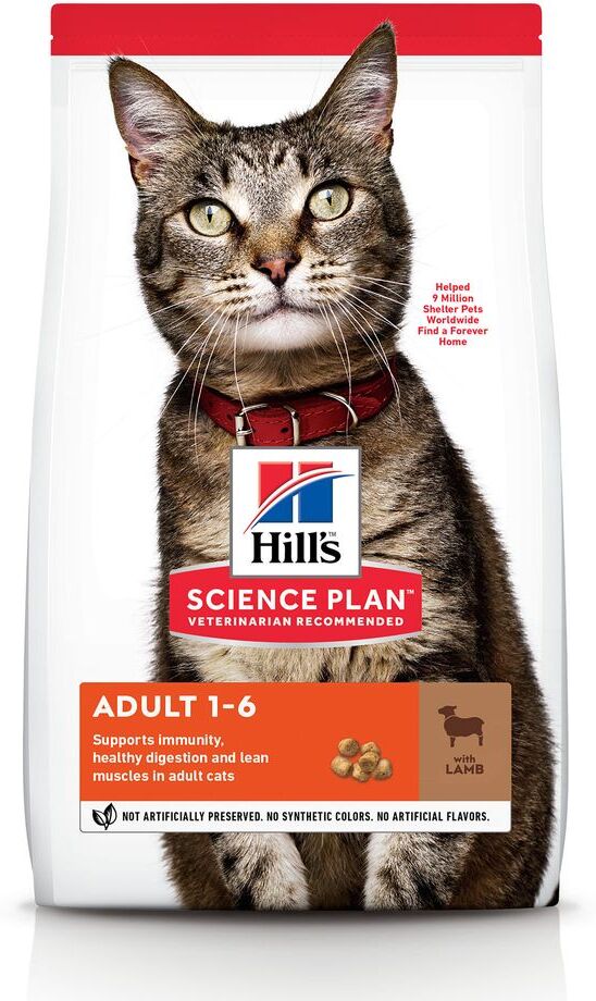 Hill's Science Plan Adult agneau, riz pour chat - 10 kg