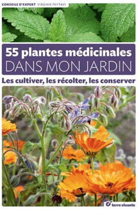 Editions Eugen Ulmer 55 plantes médicinales dans mon jardin