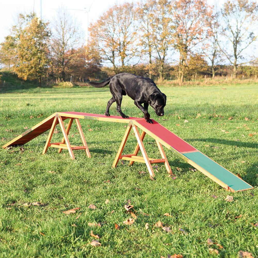 Trixie Rampe Trixie Dog Activity Agility - L 456 x l 30 x H 64 cm