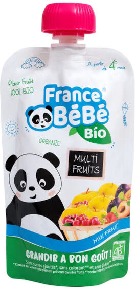 France Bébé Nutrition France Bébé Bio Gourdes Multi Fruits 100g