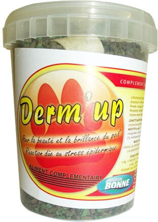 Sennecq Bonne Derm'up Complément Alimentaire Peau et Pelage Chien et Chat granules 300g