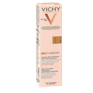 Vichy Mineralblend Fond De Teint Terra 15 30 ml