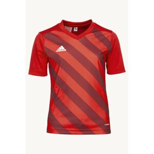 Adidas - Vêtements - Rouge mixte 140