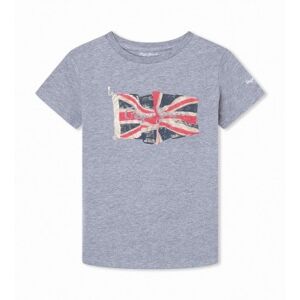 Pepe Jeans unisex pour enfant. PB503492 T-shirt Flag Log gris (14años= 164cm), Casuel, Manche courte, Le coton biologique, Durable, mode enf