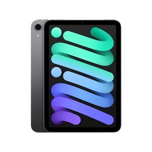 Apple Ipad Mini 8.3" 64 Gb Wi-fi Space Gray Edition 2021 (mk7m3nf/a)