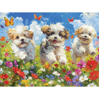 Cobble Hill Puzzle Joie - 200 à 499 pièces Cobble Hill Puzzle Joie - 200 à 499 pièces