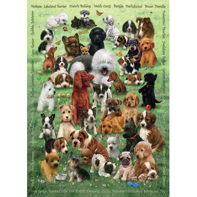Cobble Hill Puzzle Family - Chiots - 200 à 499 pièces Cobble Hill Puzzle Family - Chiots - 200 à 499 pièces