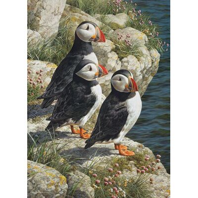 Cobble Hill Puzzle Pêcherie - 500 à 999 pièces Cobble Hill Puzzle Pêcherie - 500 à 999 pièces
