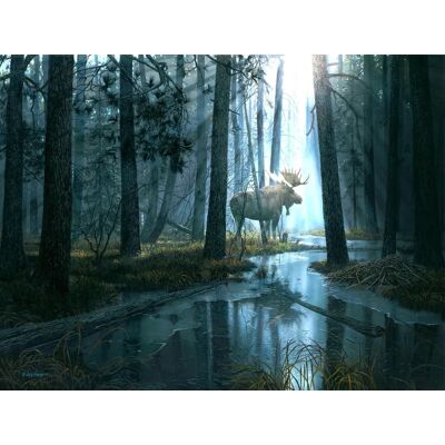 SunsOut Puzzle Pièces XXL - Pris Par La Lumière - 200 à 499 pièces SunsOut Puzzle Pièces XXL - Pris Par La Lumière - 200 à 499 pièces