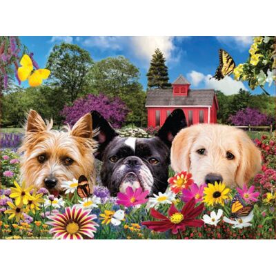 SunsOut Puzzle Coucou - 500 à 999 pièces SunsOut Puzzle Coucou - 500 à 999 pièces