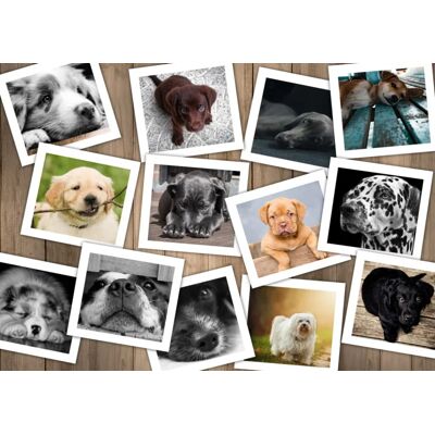 Grafika Puzzle Chiens - 1500 pièces Grafika Puzzle Chiens - 1500 pièces