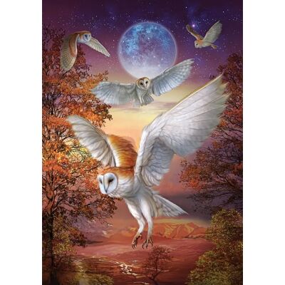 ART Puzzle Puzzle Hiboux au Clair de Lune - 1000 pièces ART Puzzle Puzzle Hiboux au Clair de Lune - 1000 pièces
