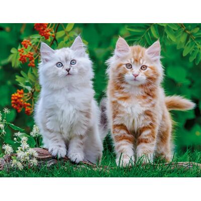 Nathan Puzzle Chatons Sibériens Nathan Puzzle Chatons Sibériens
