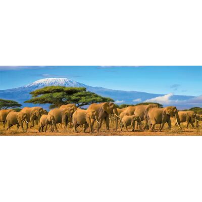 Nathan Puzzle Puzzle Panoramique - Troupeau d'Éléphants Nathan Puzzle Puzzle Panoramique - Troupeau d'Éléphants
