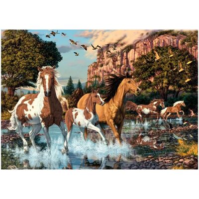 Puzzle DinoToys - Chevaux 1000 Pièces Puzzle DinoToys - Chevaux 1000 Pièces