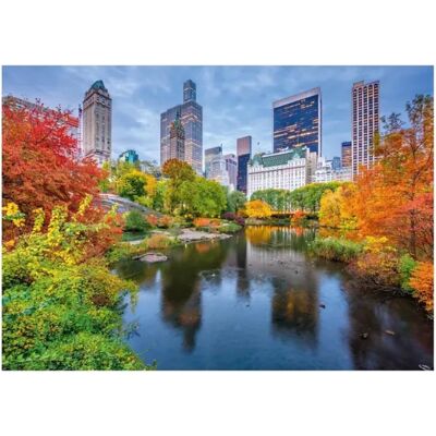 Dino Puzzle Central Park Dino Puzzle Central Park