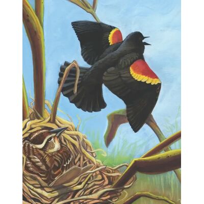 New York Puzzle Company Puzzle Red-winged Blackbird - 100 à 149 pièces New York Puzzle Company Puzzle Red-winged Blackbird - 100 à 149 pièces