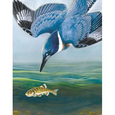 New York Puzzle Company Puzzle Belted Kingfisher - 100 à 149 pièces New York Puzzle Company Puzzle Belted Kingfisher - 100 à 149 pièces