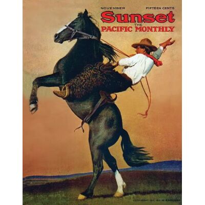 New York Puzzle Company Puzzle Bucking Bronco - 100 à 149 pièces New York Puzzle Company Puzzle Bucking Bronco - 100 à 149 pièces