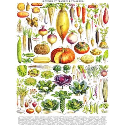 New York Puzzle Company Puzzle Vegetables - Légumes - 1000 pièces New York Puzzle Company Puzzle Vegetables - Légumes - 1000 pièces