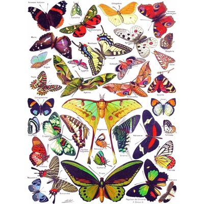New York Puzzle Company Puzzle Butterflies - Papillons - 1000 pièces New York Puzzle Company Puzzle Butterflies - Papillons - 1000 pièces