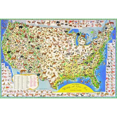New York Puzzle Company Puzzle Wildlife Map - 2000 pièces New York Puzzle Company Puzzle Wildlife Map - 2000 pièces