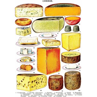 New York Puzzle Company Puzzle Pièces XXL - Cheese - 500 à 999 pièces New York Puzzle Company Puzzle Pièces XXL - Cheese - 500 à 999 pièces