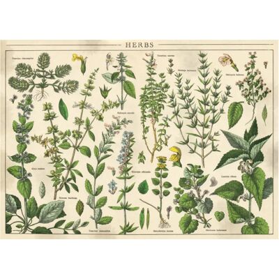 Interdruk Puzzle Vintage Nature - Plantes - 1000 pièces Interdruk Puzzle Vintage Nature - Plantes - 1000 pièces
