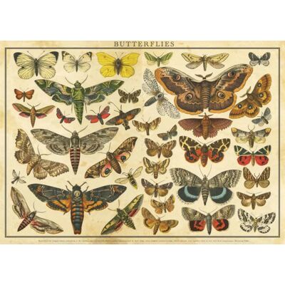 Interdruk Puzzle Vintage Nature - Papillons - 2000 pièces Interdruk Puzzle Vintage Nature - Papillons - 2000 pièces