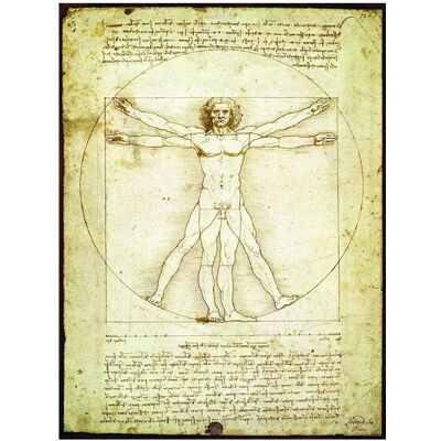 Puzzle Eurographics Homme de Vitruve - Proportions de la figure humaine 1000 Pièces - Puzzle Puzzle Eurographics Homme de Vitruve - Proportions de la figure humaine 1000 Pièces - Puzzle