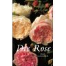 Die Rose (Insel Taschenbuch)
