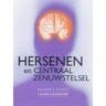 The Reader's Digest B.V. Hersenen En Centraal Zenuwstelsel (Lichaam & Gezondheid)