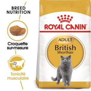 ROYAL CANIN British Shorthair Adulte Croquettes Chat 4 kg
